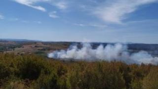 Стрелби запалиха военен полигон край Беляковец СНИМКИ