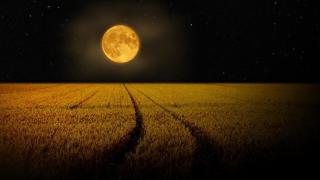 Жътвената луна и Петък 13-и се събраха за първи път и обявиха края на света