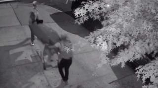 Страховито: Разнасят труп с пазарска количка в съмнителен квартал ВИДЕО
