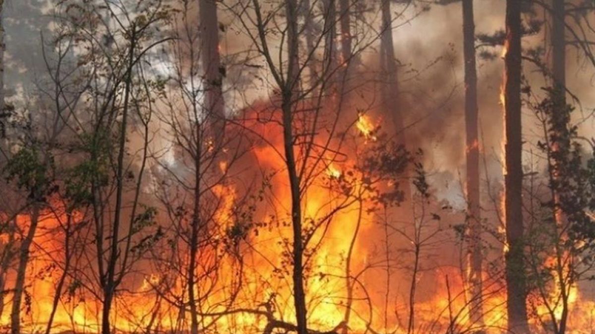 От пожарната с последни новини за огнения ад в Рила 