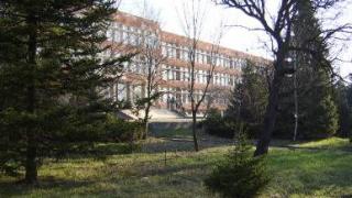 Ученици се натъкнаха на изключително скъпа находка в двора на школото  