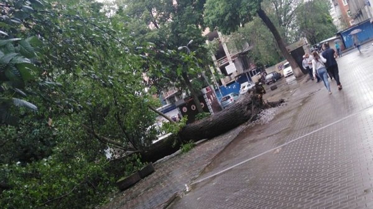 Девойка избегна смъртта като по чудо ВИДЕО