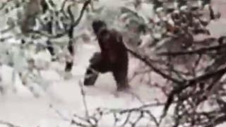"Дейли мейл" разгласи нова зловеща версия за трагедията с "Групата Дятлов" 