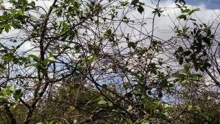 Тревожна природна поличба в Русенско уплаши всички СНИМКИ 