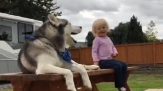 ВИДЕО с момиченце и куче ще ви разсмее