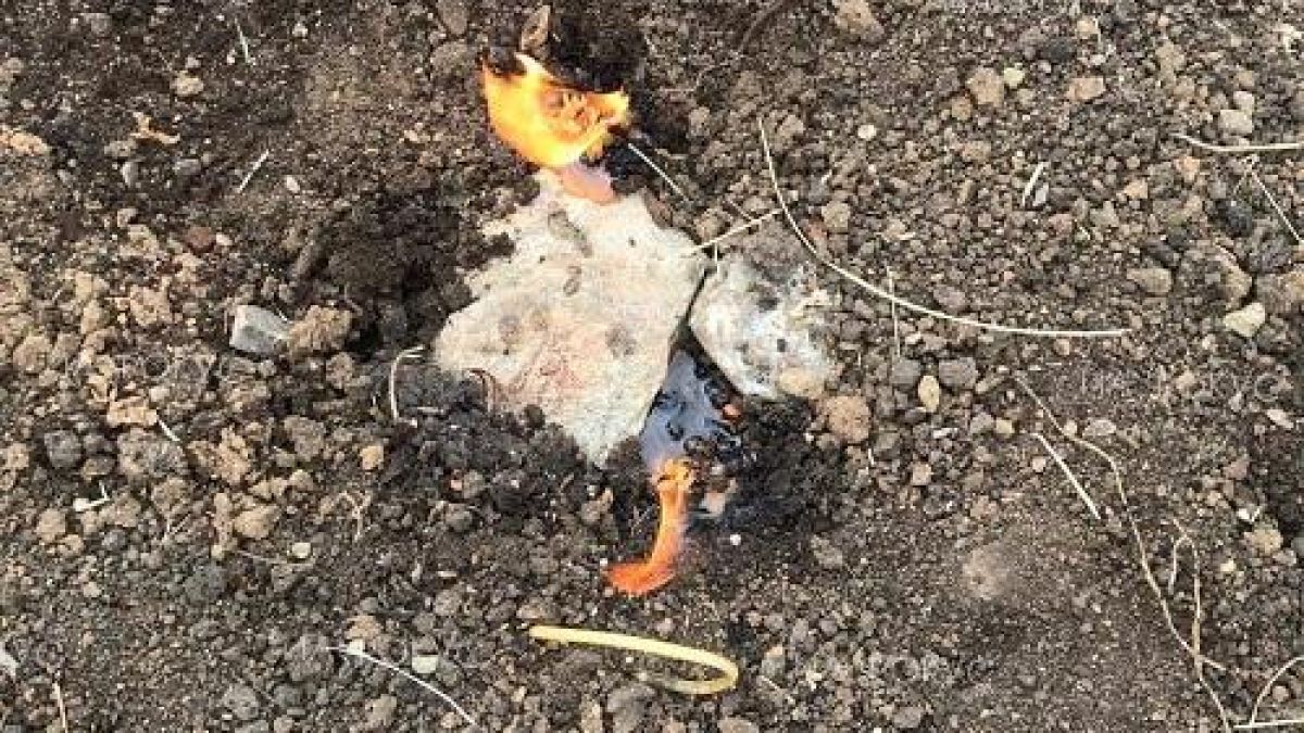 СНИМКА показа какво се случи на гроба на внезапно починалия собственик на агенция "Фокус"