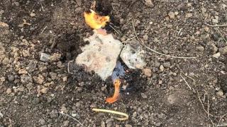 СНИМКА показа какво се случи на гроба на внезапно починалия собственик на агенция "Фокус"
