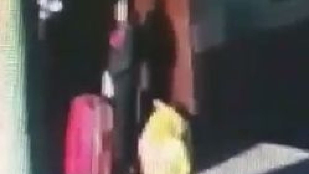 Отритнат Ромео разчлени любимата си на парчета, скри ги в куфар и... ВИДЕО 