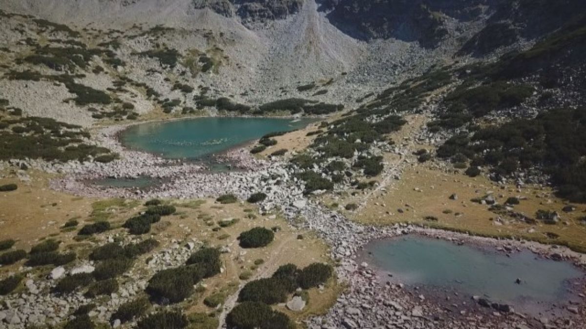 Опасност, която трябваше да споходи България след хилядолетия, вече е факт СНИМКИ