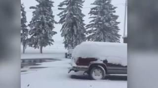 Септемврийски сняг заваля над части от Монтана ВИДЕО