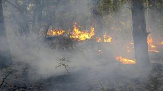 Обявиха супер нестандартна награда за залавянето на подпалвача в Котел