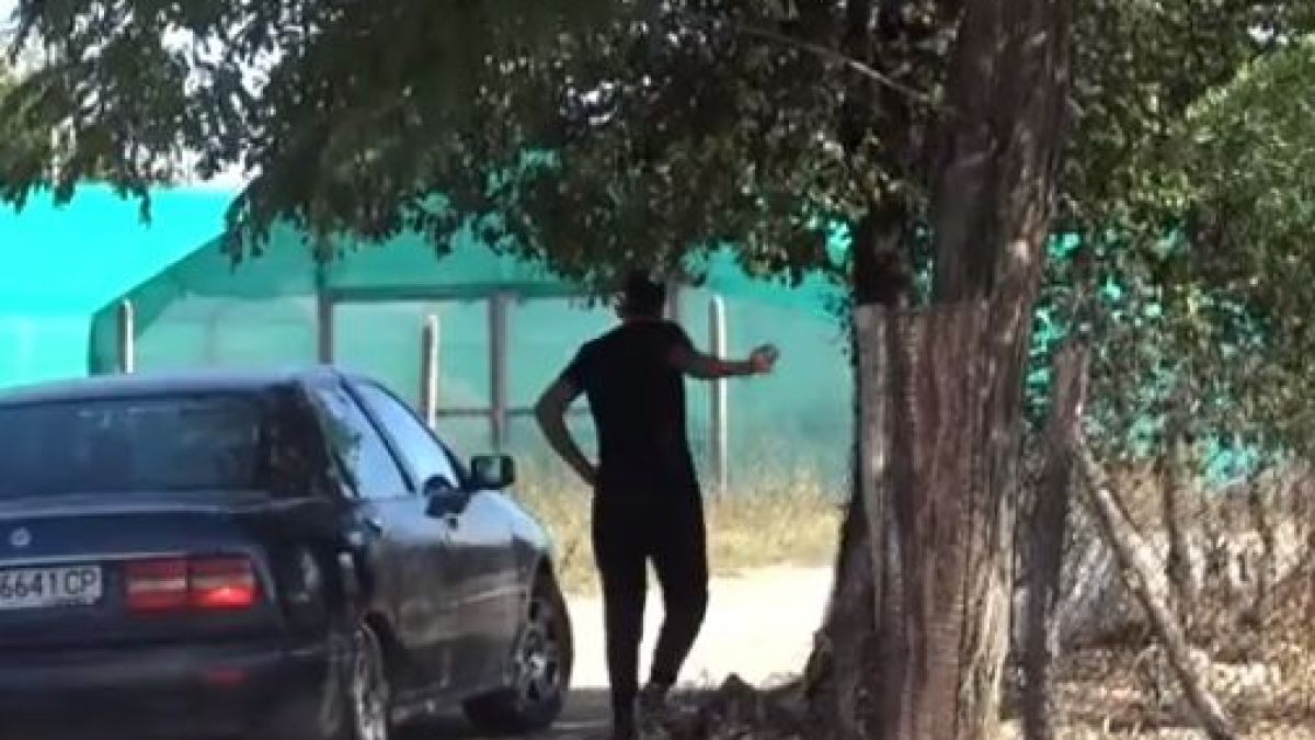 Покъртителен разказ за зверствата на свирепата банда от Пловдив ВИДЕО