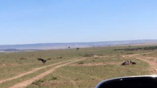 Лешояди отмъкнаха бебе и го разкъсаха живо ВИДЕО 18+