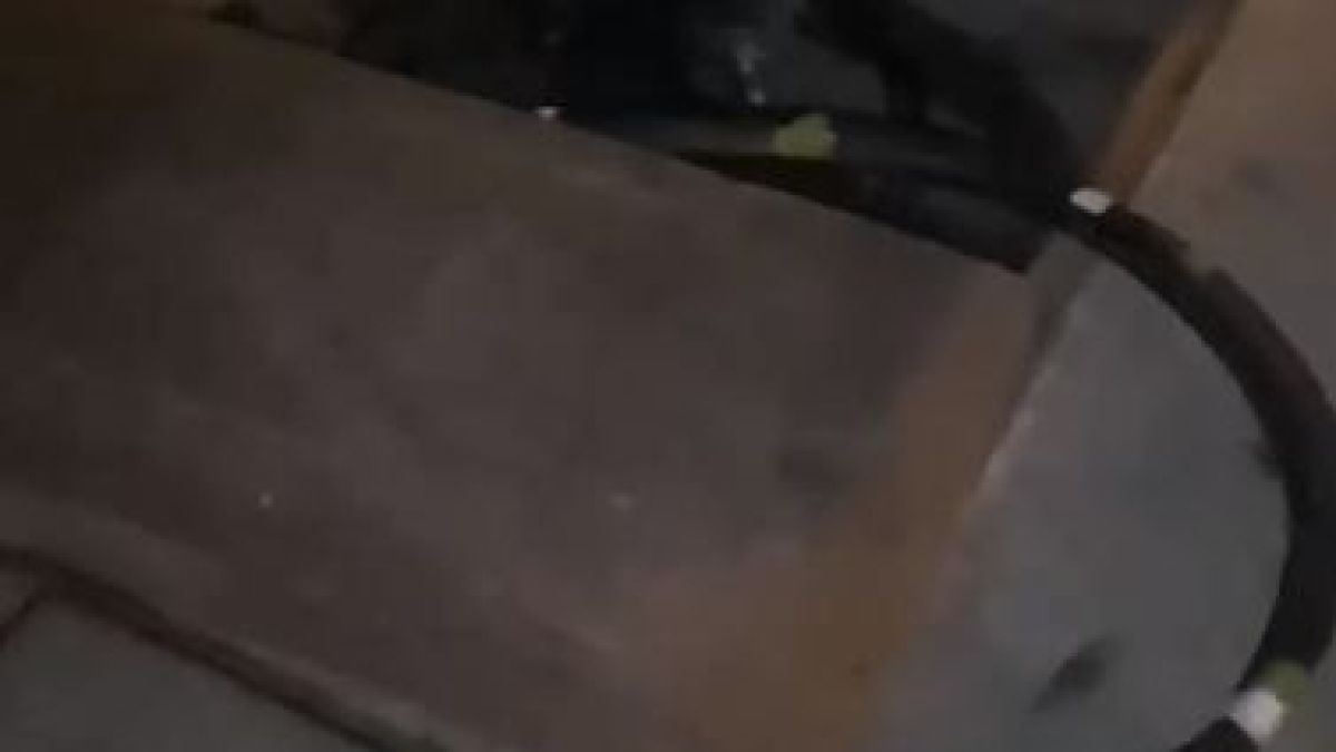 Само в БЛИЦ: Пълен шок в центъра на София ВИДЕО