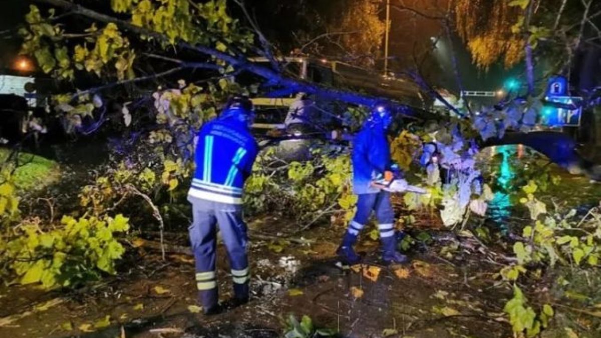 Ето от къде нахлува халата на Балканите, донесла сняг, гръмотевици и хаос ВИДЕО