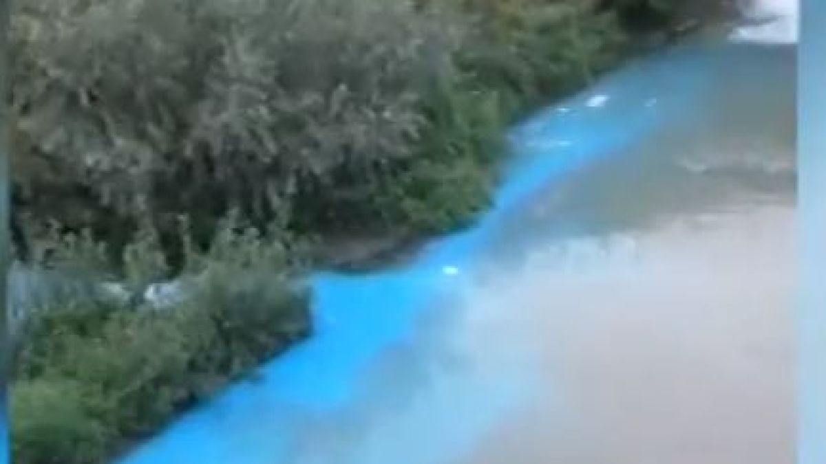 Русенци изпаднаха в ужас заради това ВИДЕО