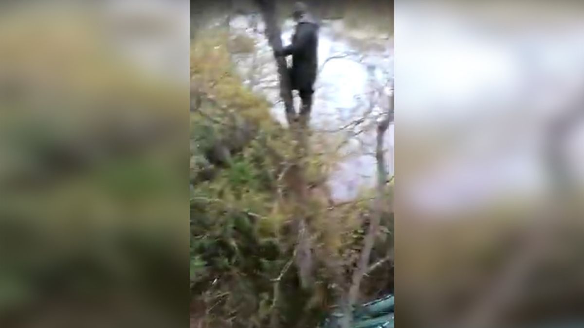 Мечок нападна рибари и ги принуди да се качат на високо дърво ВИДЕО