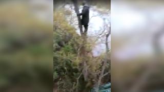 Мечок нападна рибари и ги принуди да се качат на високо дърво ВИДЕО
