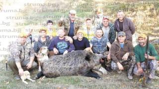 Авджии от Гърменско повалиха 245-килограмов звяр