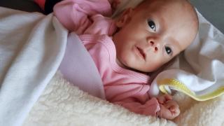 Родители сбъднаха мечтата си да имат близначета, но после... 