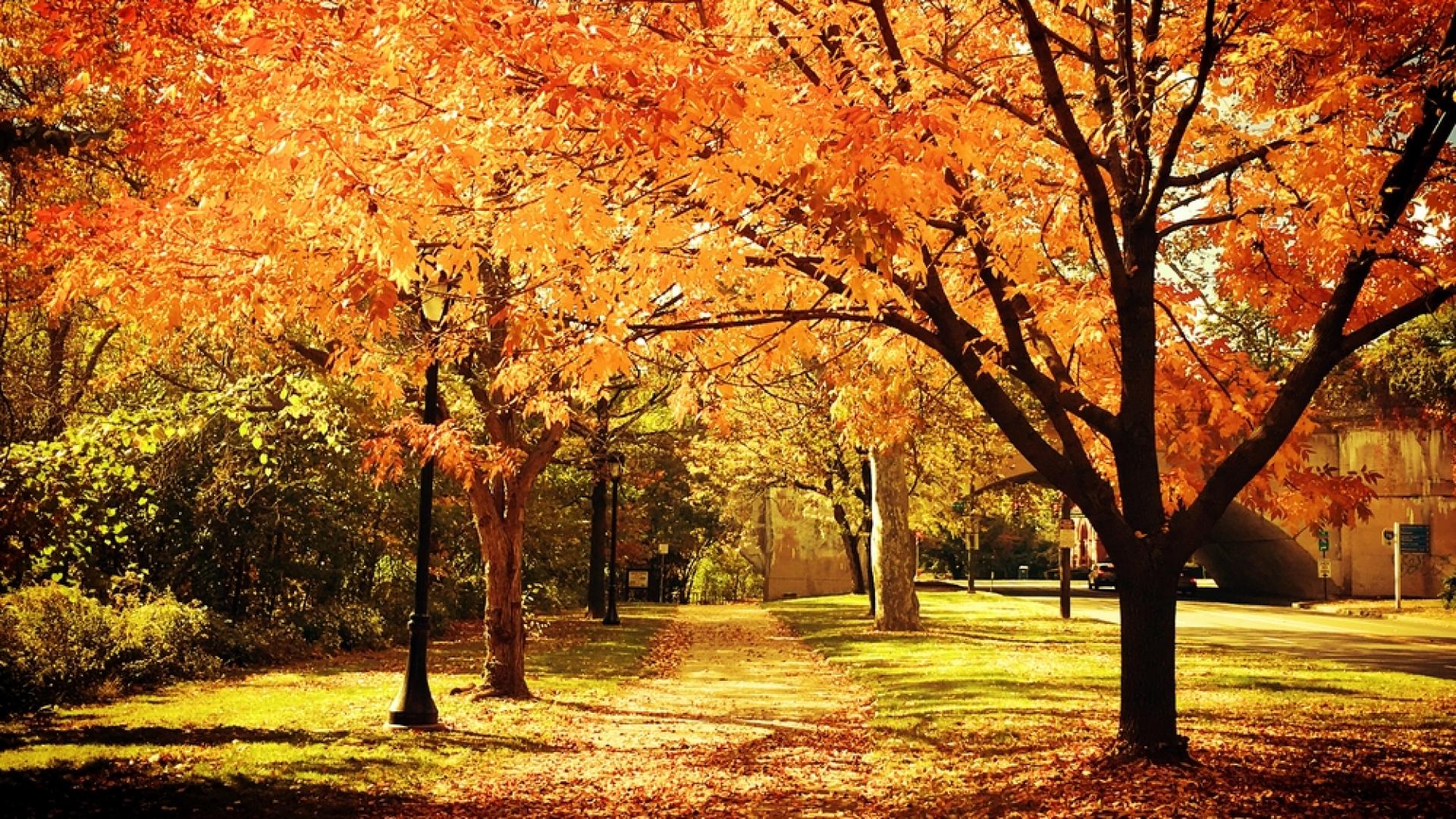 С какво време ще ни зарадва Свети Димитър 