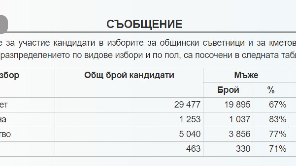 ЦИК показа любопитна ТАБЛИЦА за вота