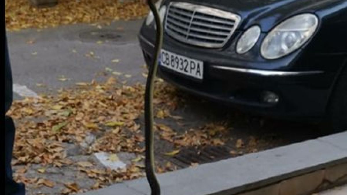 Столичанин спря мерцедеса си зад мол "Парадайс" и онемя от ужас СНИМКИ