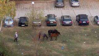 Италианци направиха тези СНИМКИ в Кърджали и обявиха местните за богаташи 