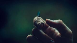 Откриха уникално насекомо, излъчващо синя светлина СНИМКА
