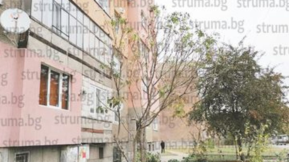 В Перник природата полудя, а местните се готвят за... СНИМКИ 