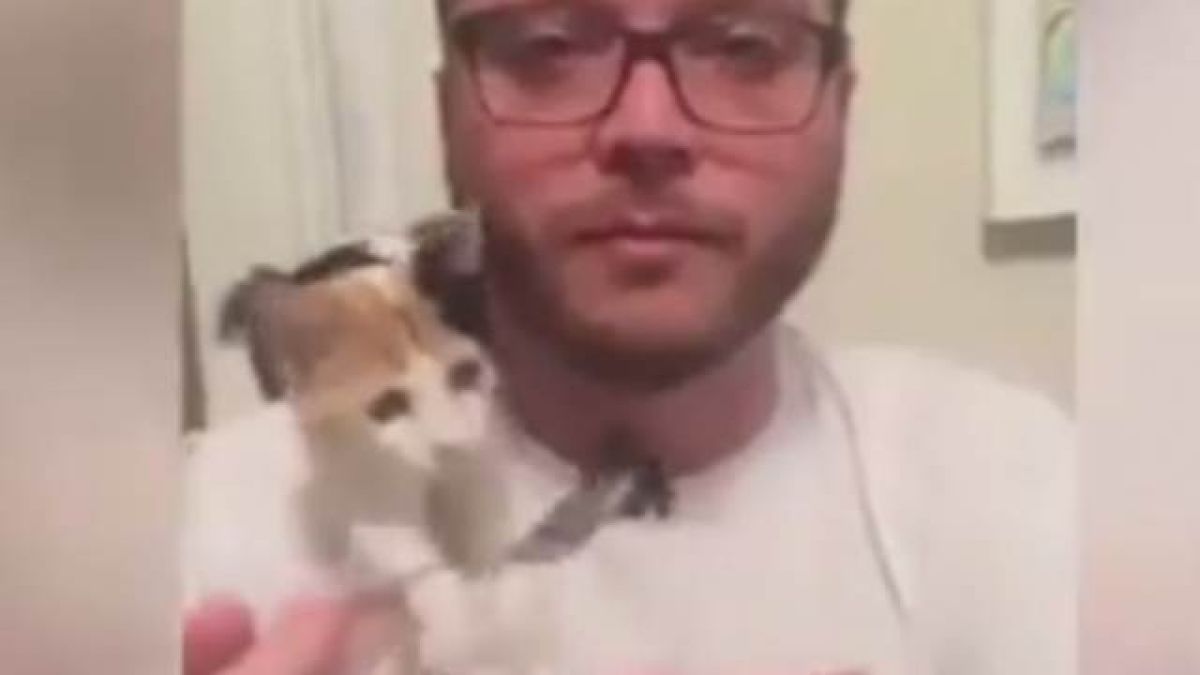 Коте наказа стопанина си за това, че не споделя храната ВИДЕО