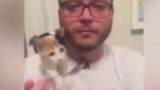 Коте наказа стопанина си за това, че не споделя храната ВИДЕО