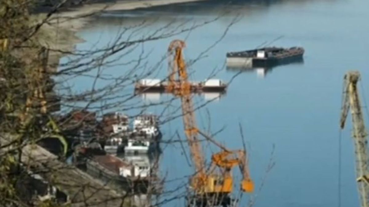 Драма с десетки кораби край Свищов ВИДЕО