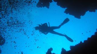 Водолази се похвалиха с находка на над 2,5 млн. години край брега на Мексико ВИДЕО