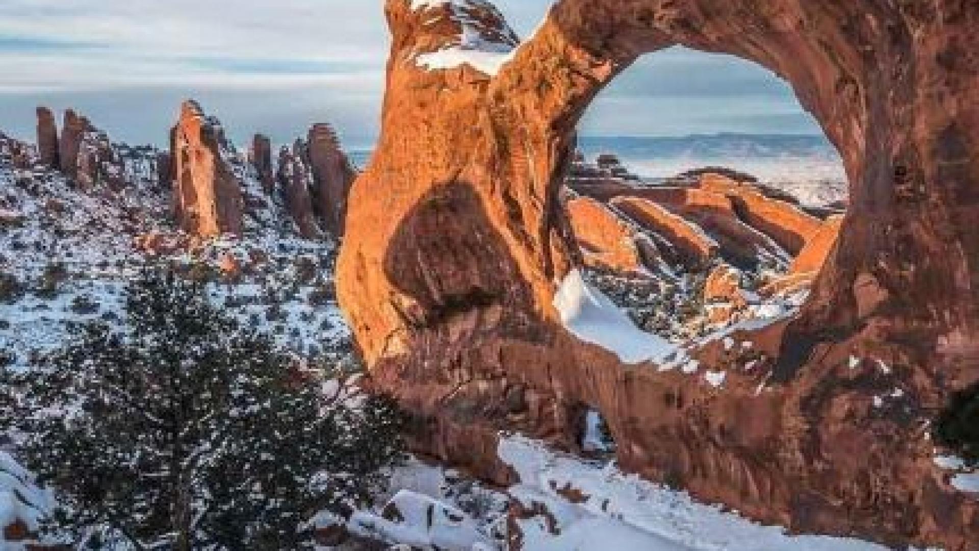 Невиждан студ скова САЩ, направо не се живее ВИДЕО