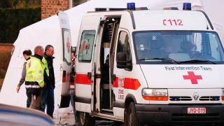 Ужасна смърт в кучешки приют сполетя три жени