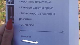 Цялата мрежа е в потрес от тази еротична обява за работа СНИМКИ 