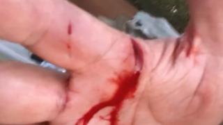 Милиардер клонира кучето си, а то спаси двама старци от трагедия 