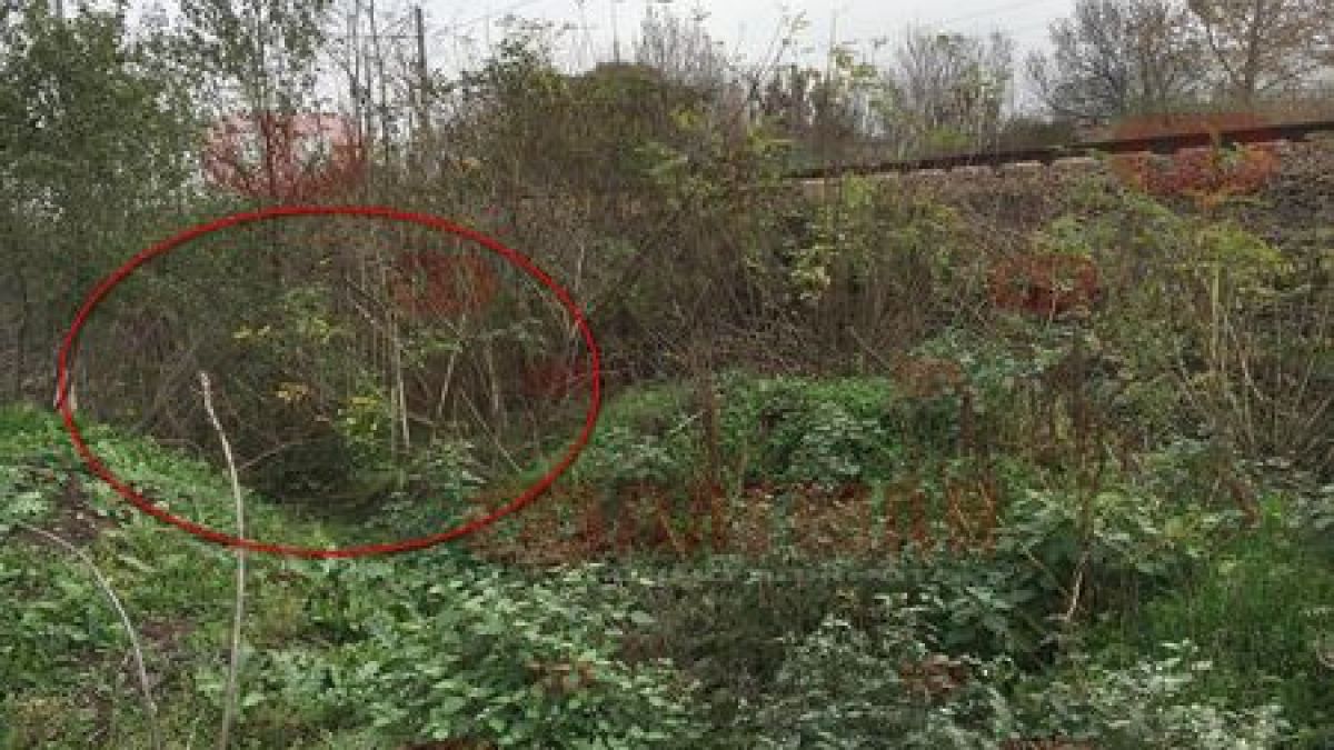 Стана ясно кой е мъжът, застрелян в гръб в Бургас ВИДЕО 