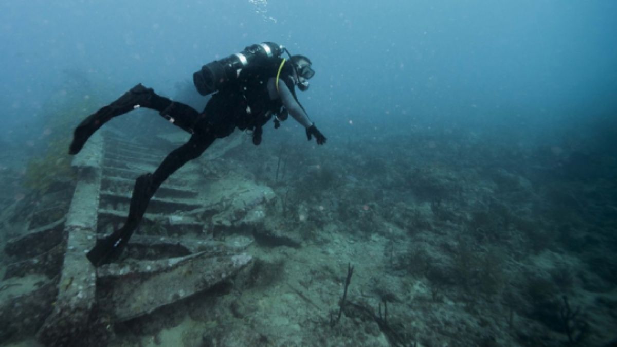 Океанолог от БАН сензационно: В Черно море прииждат невиждани досега риби