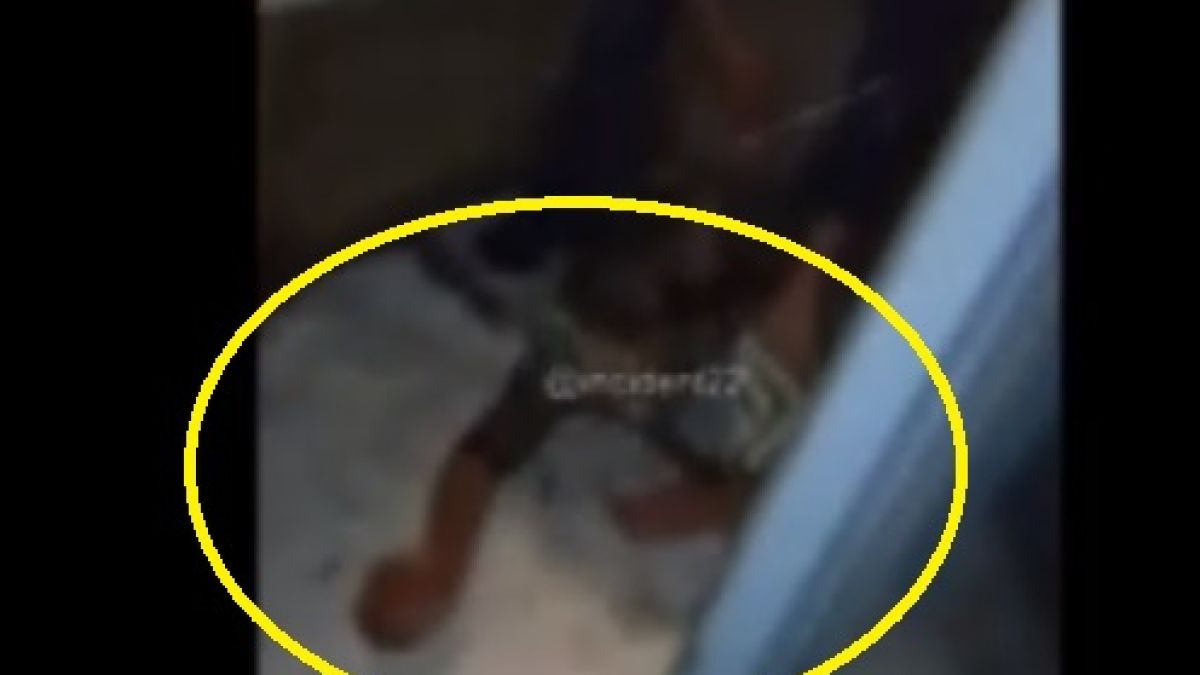 Кифла изпусна айфона си в тоалетната, бръкна да го извади и стана страшно ВИДЕО