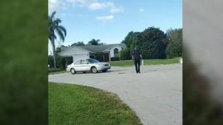 Куче открадна колата на стопанина си и се повози по улиците на града ВИДЕО