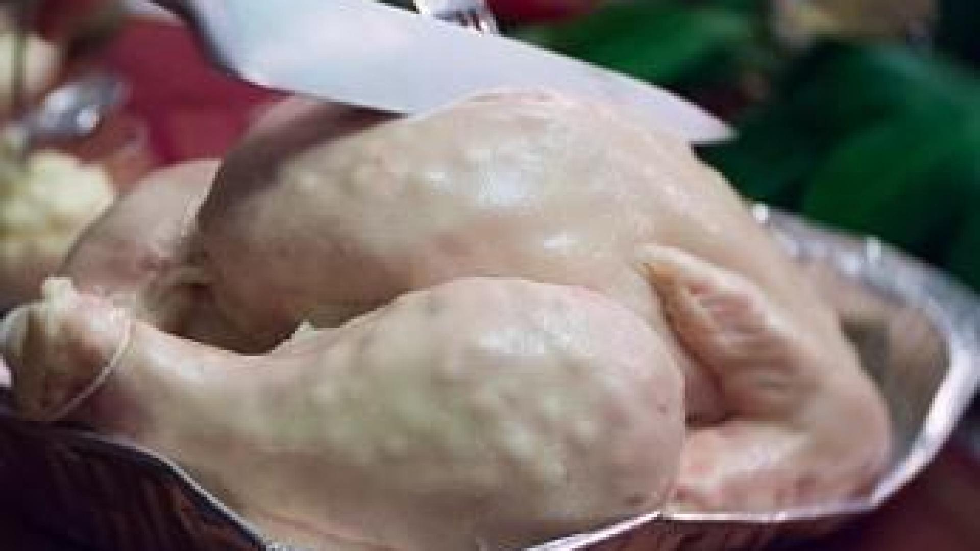 Тази сурова пуйка ще ви шокира ВИДЕО