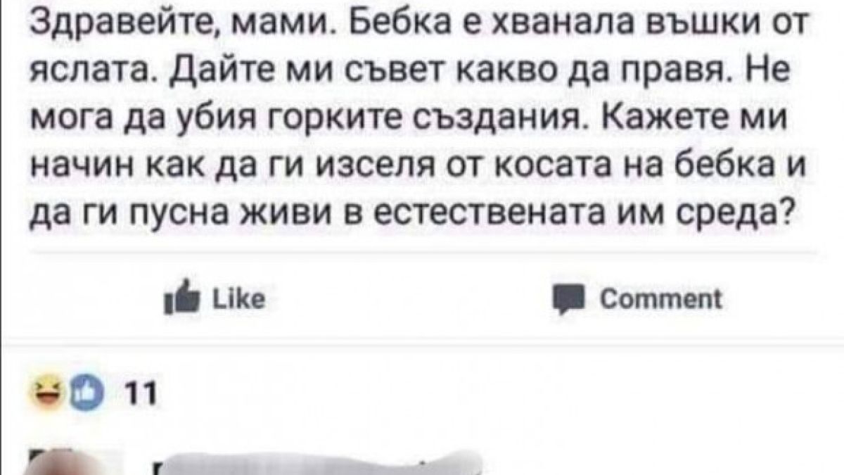 Веган мама втрещи: Как да изселя въшките от косата на бебка и да ги...