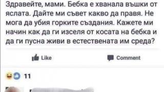 Веган мама втрещи: Как да изселя въшките от косата на бебка и да ги...