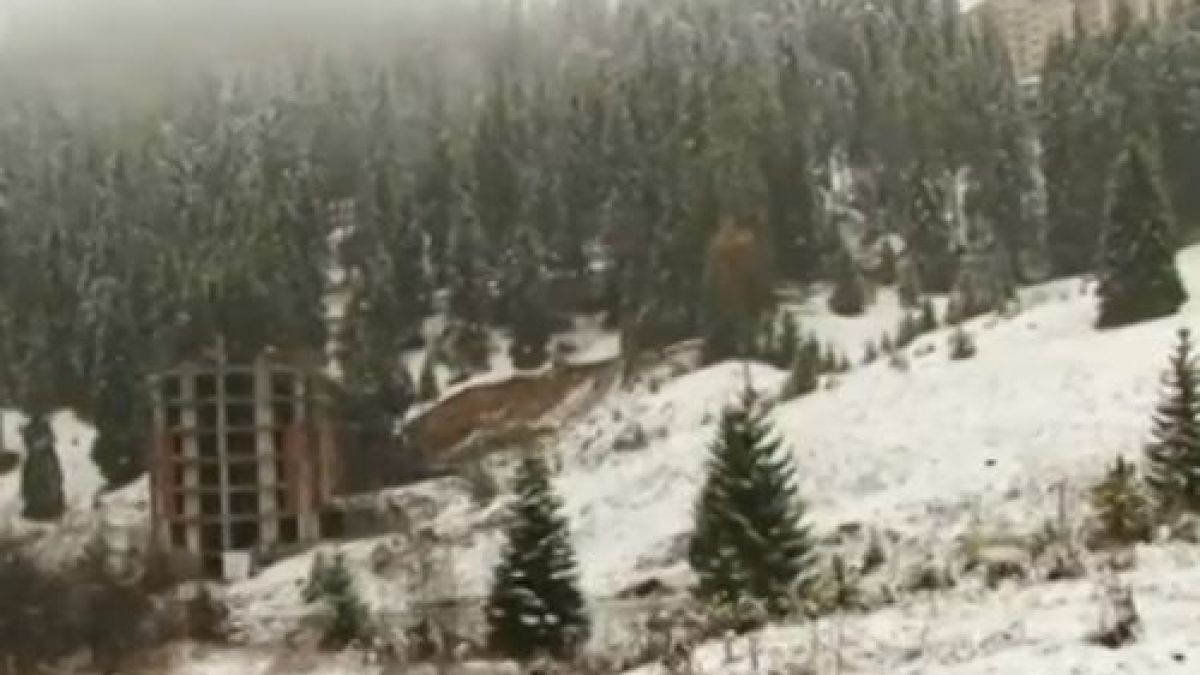 20 сантиметра сняг натрупа на Пампорово