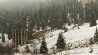 20 сантиметра сняг натрупа на Пампорово