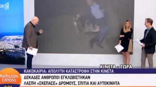 Няма такъв смях: Свиня нападна репортер в ефир ВИДЕО 