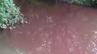Река Струма потече червена