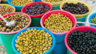 Може ли наистина България да конкурира Гърция с маслини?